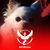 Cheryl L Abbott's profile image