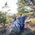 Lyn Leitner's profile image