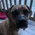 Amy Or Dave Huusko's profile image