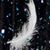 Evelyn Strauss Porter's profile image