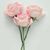 Shainaaz Ali's profile image