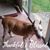 Victor Hiller Sr.'s profile image