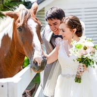 Rachel Misson's profile image