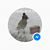 Jean B. Cox's profile image