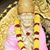Vidhya Shivakumar's profile image