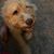 Mary Werley's profile image