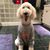 Patti Dodgen's profile image