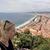 Mihaela Miclea's profile image