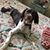 Maria Bentley Stidham's profile image