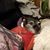 Lorri Schwarz's profile image
