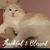 Susan- Steve Wittich's profile image