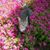 Jackie Pucko-Osolin's profile image