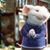 Mausam Verma's profile image