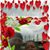 Pam Hood's profile image