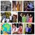 Sudhir Kotha's profile image