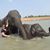 Geraldine Taino's profile image