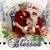 Sharon Lowe's profile image