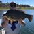 Bruce Braham's profile image