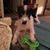 Judith Stoll's profile image