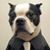 Jim Gilsbach's profile image