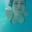Raquel Rocha's profile image