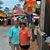 Laura Harris Wallace's profile image