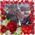 Linda Milligan's profile image