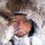 Aron Entler's profile image