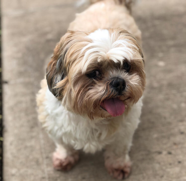 Andy and Jeni B.'s profile image