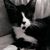 Christina Constantino's profile image