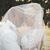 Brittany Michelle Knipp's profile image