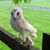 Dawn M. Rainey's profile image