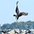 Dave Smith's profile image