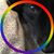 Holly Cather Williams's profile image