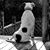 Kayla Shutt's profile image