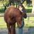 Maria Elizabeth Smith's profile image