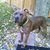Tylenia Nichols Miller's profile image