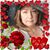 Dawn Wilson's profile image