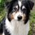 Claud Woolworth's profile image