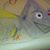 Char Smith's profile image