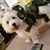 Masato Toda's profile image