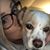 Cally Larson Irvine's profile image