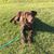 Greg Yarbrough's profile image