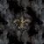 Lucas Avbrey's profile image