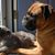 Christine Koterba Lodge's profile image