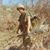 Richard Claypool's profile image