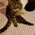 Andrea Madson's profile image