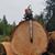 Scott Alan Loghry's profile image