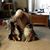 Julene Cooper's profile image