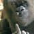 Donald Eugene Putnam II's profile image